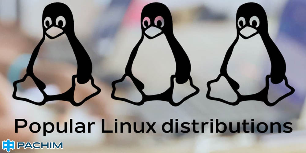 نحوه انتخاب توزیع مناسب و آشنایی با تفاوت‌های مهم بین توزیع‌های Linux